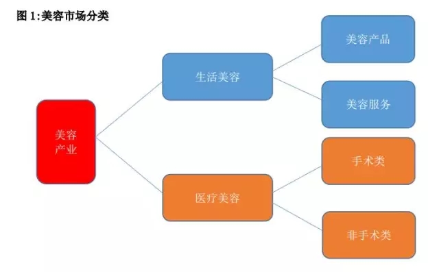 “烟花秀事件”引争议“敬畏自然”不是一句口号